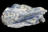 Vibrant Blue Kyanite Crystals In Quartz - Brazil #80385-1